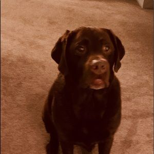 Meet your Posher, Mia